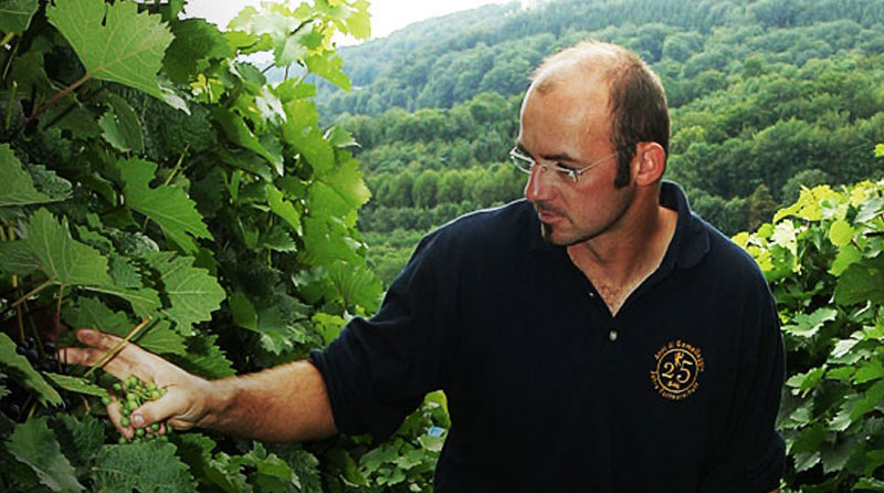 Weinbaugebiet Württemberg – Walder Weinladen aus Solingen