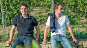 Read more about the article Weinanbaugebiet Rheinhessen: Weingut Bischel