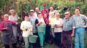 Read more about the article Weinanbaugebiet Franken: Weingut Alois und Jürgen Hofmann